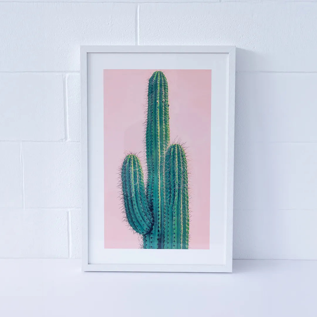 Print Frame Send White Photo Frame Example