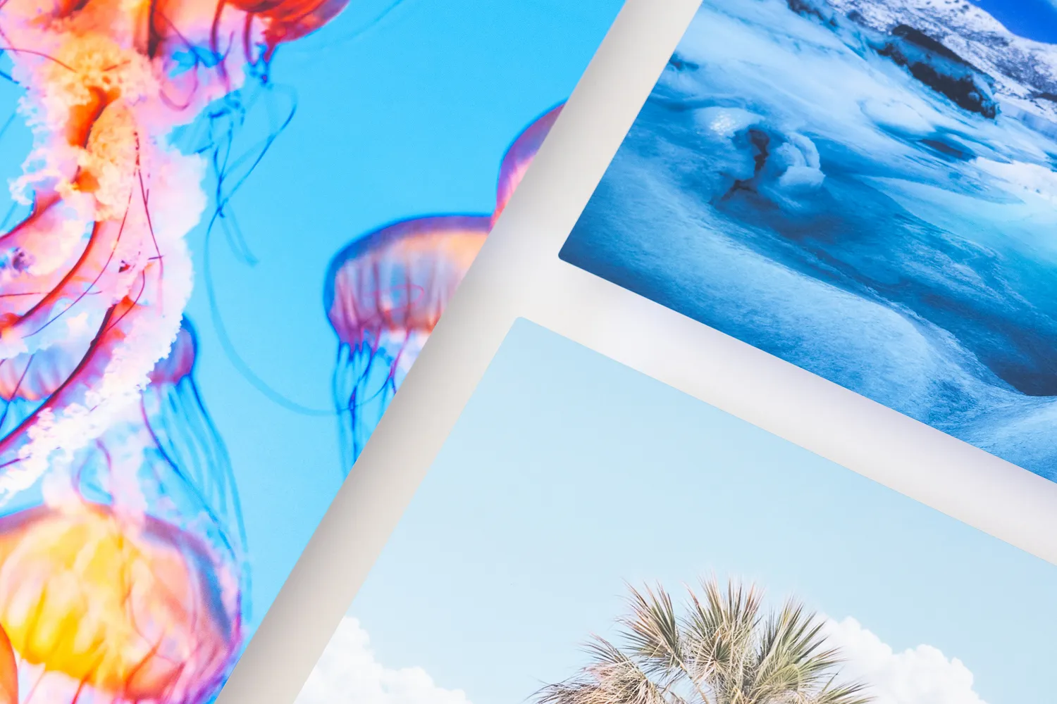 Close up of metal photo prints including a jellyfish, icy landscape - all completed at Print Frame Send headquarters.